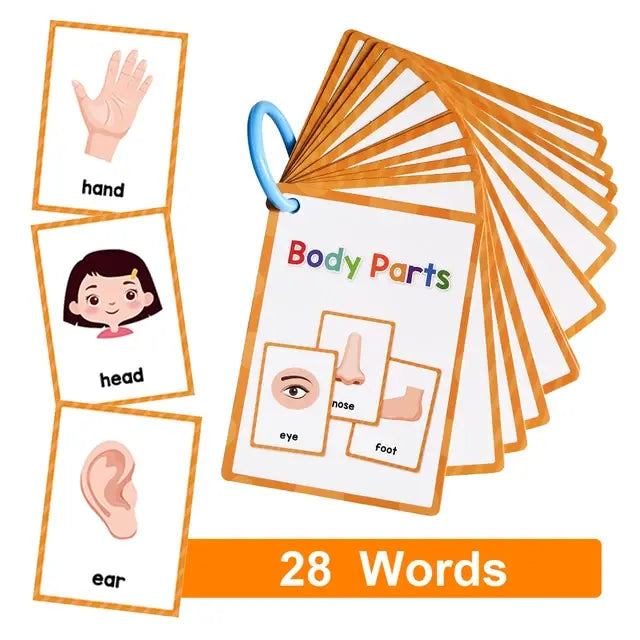 English Words Educational Flashcards