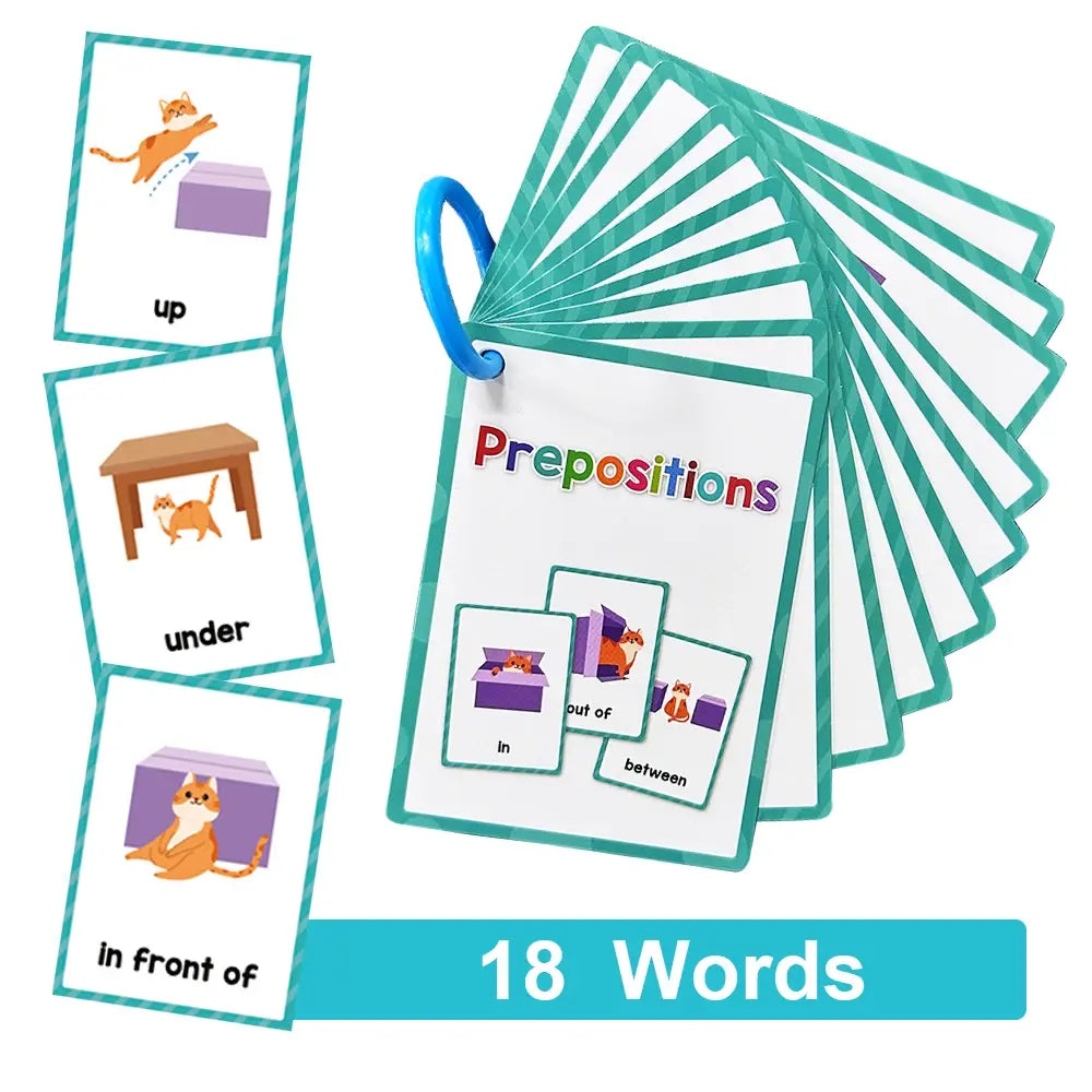 English Words Educational Flashcards