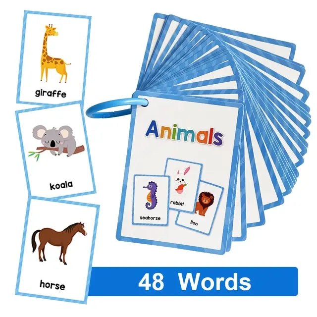 English Words Educational Flashcards